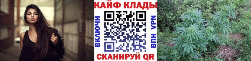 Где продают наркотики Макушино Марихуана  Мефедрон  КЕТАМИН  ГАШ  кракен рабочий сайт  АМФ 