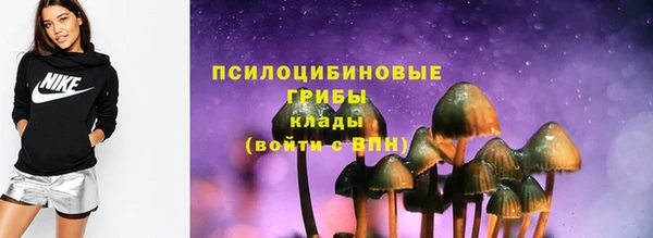 прущий лед Алзамай
