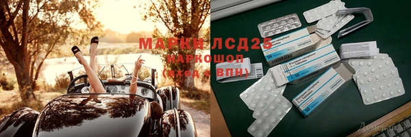 прущий лед Алзамай