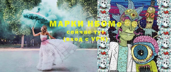 прущий лед Алзамай